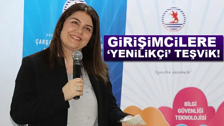 Girişimcilere 'yenilikçi' teşvik!