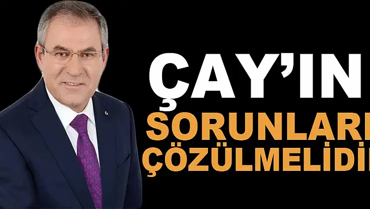 ÇAY'IN SORUNLARI ÇÖZÜLMELİDİR