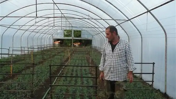 Tütünün yerini alternatif ürünler aldı