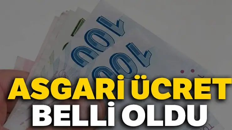 Asgari ücret 2 bin 20 TL oldu!