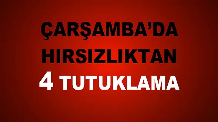 HIRSIZLIKTAN 4 TUTUKLAMA
