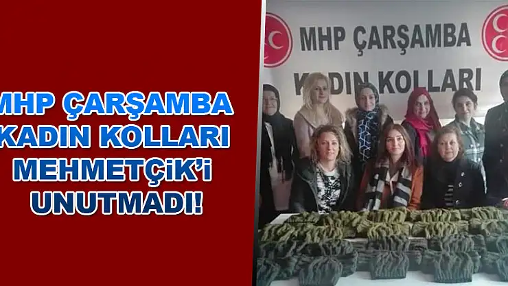 'Mehmetçik üşümesin'