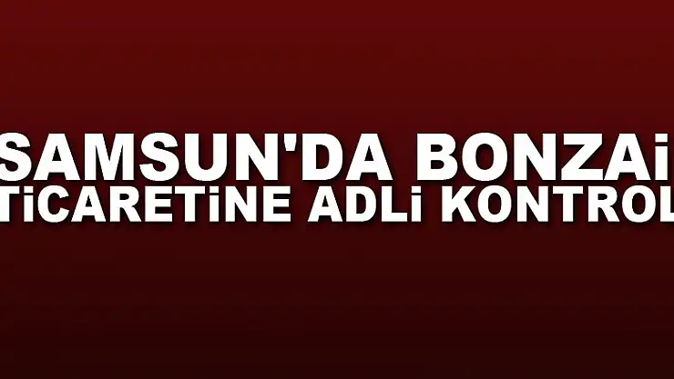 Samsun'da bonzai ticaretine adli kontrol