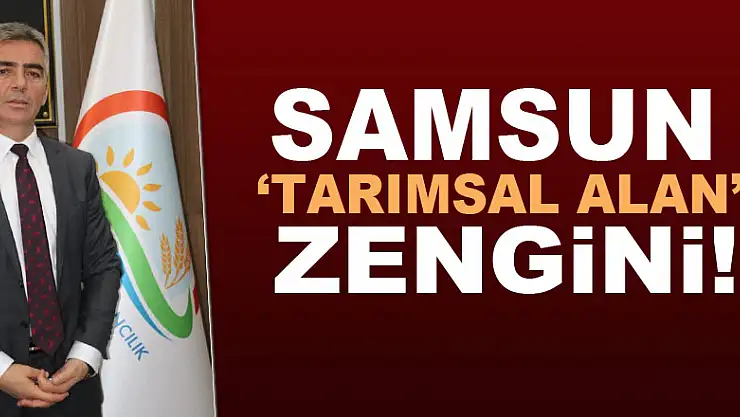 Samsun 'Tarımsal Alan' zengini!