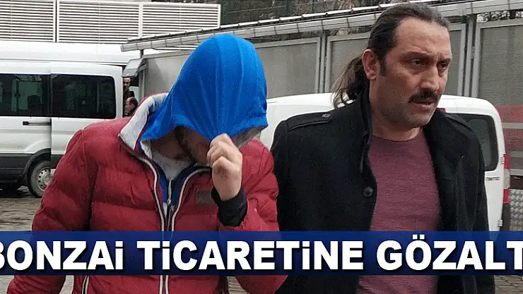 Bonzai ticaretine gözaltı