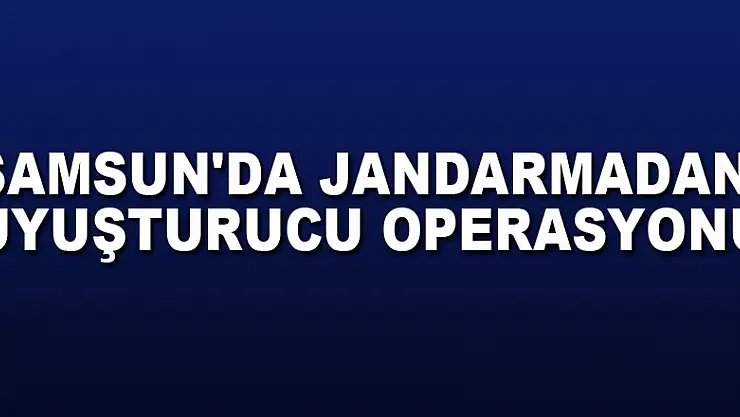 Samsun'da jandarmadan uyuşturucu operasyonu: 16 gözaltı