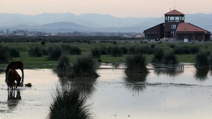 Başkan Şahin'den 'Kuş Cenneti' açıklaması