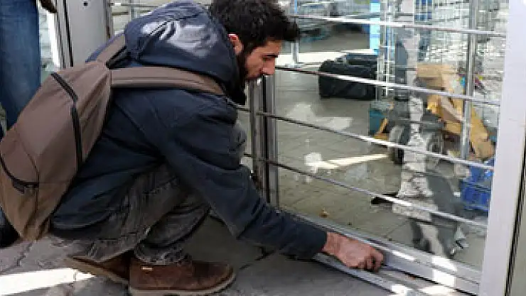 Kediyi kurtarmak için seferber oldular