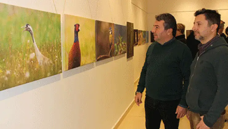 Deltadan objektiflere yansıyanlar