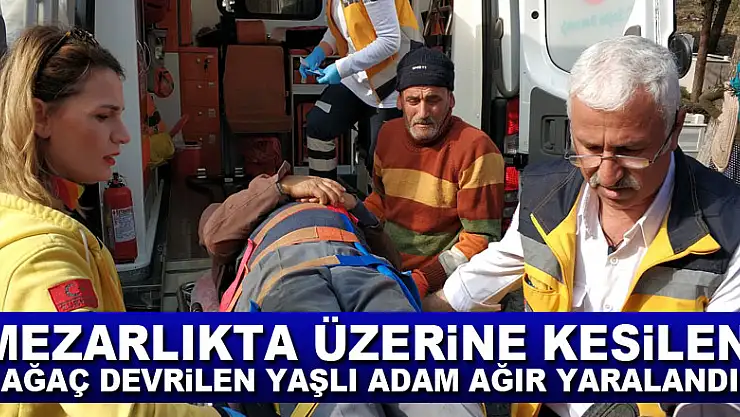 Mezarlıkta üzerine kesilen ağaç devrilen yaşlı adam ağır yaralandı