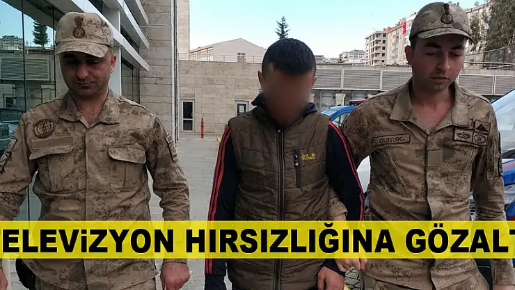 Televizyon hırsızlığına gözaltı