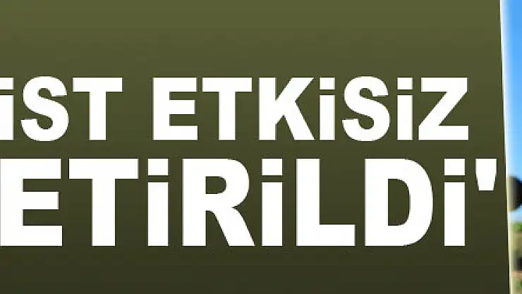 İçişleri Bakanlığı: '50 terörist etkisiz hale getirildi'