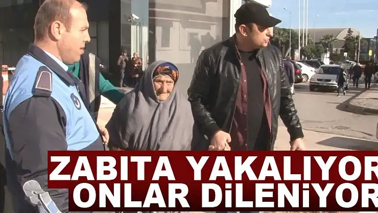 Zabıta yakalıyor, onlar dileniyor