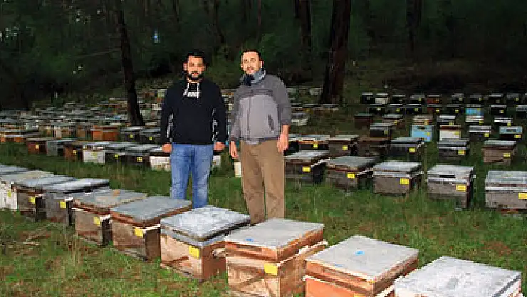 Yağışlar bal üreticisini sevindirdi
