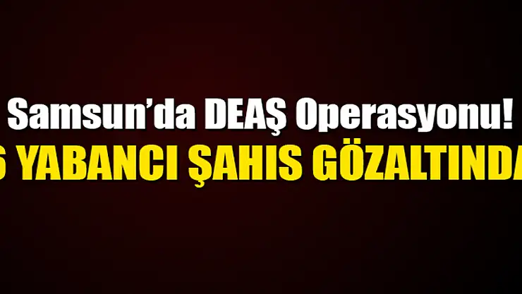  Samsun'da DEAŞ operasyonu: 6 yabancıya gözaltı 