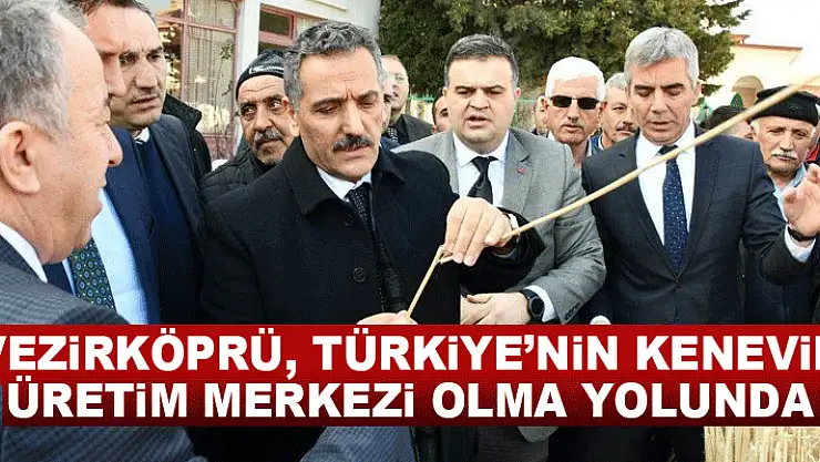 Vezirköprü, Türkiye'nin kenevir üretim merkezi olma yolunda