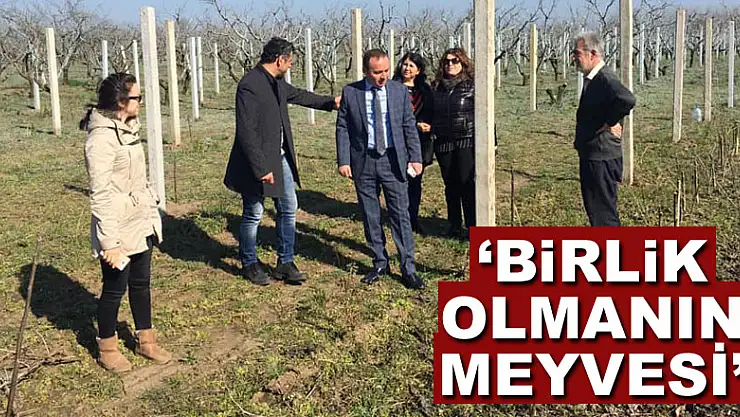 'BİRLİK OLMANIN MEYVESİ'