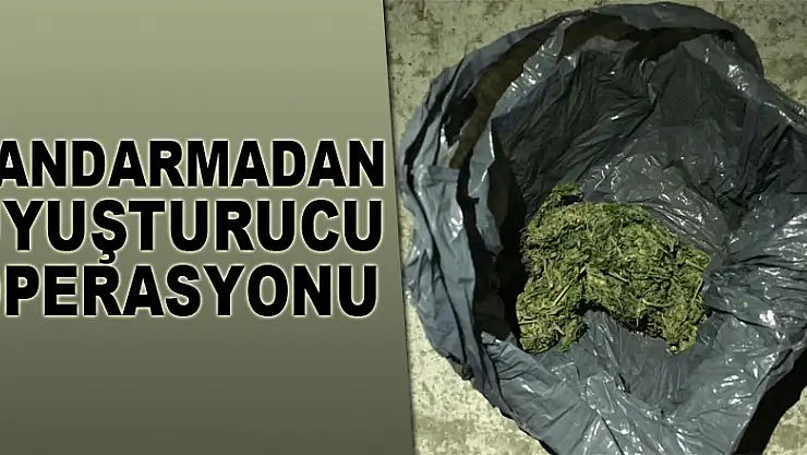 Jandarmadan uyuşturucu operasyonu: 3 gözaltı