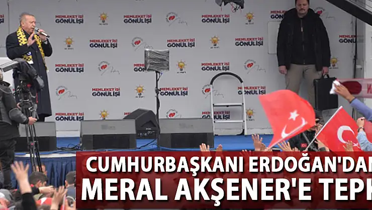 Cumhurbaşkanı Erdoğan'dan Meral Akşener'e tepki