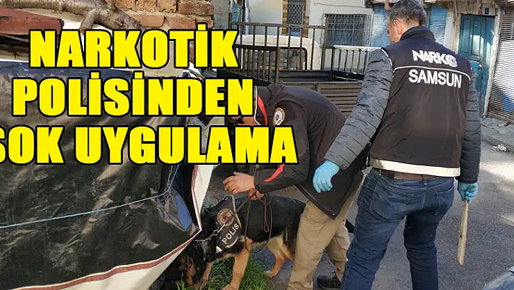Narkotik polisinden şok uygulama