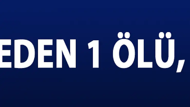 Aynı aileden 1 ölü, 4 yaralı