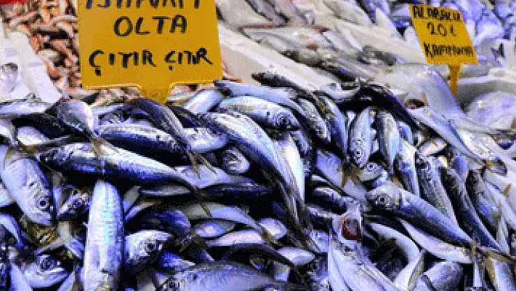 Sezonun son balıkları yerini kültür balıklarına bırakıyor