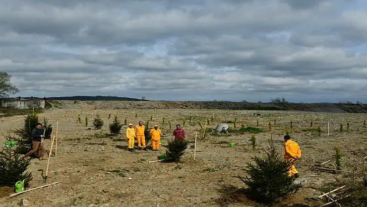1919 fidanla '100 Yıl Kurtuluş Ormanı' oluşturuldu