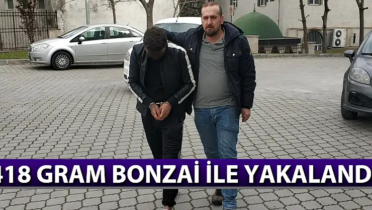 418 gram bonzai ile yakalandı 