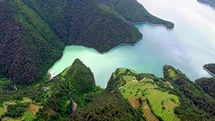 Samsun'da 3,5 milyondan fazla fidan üretilecek