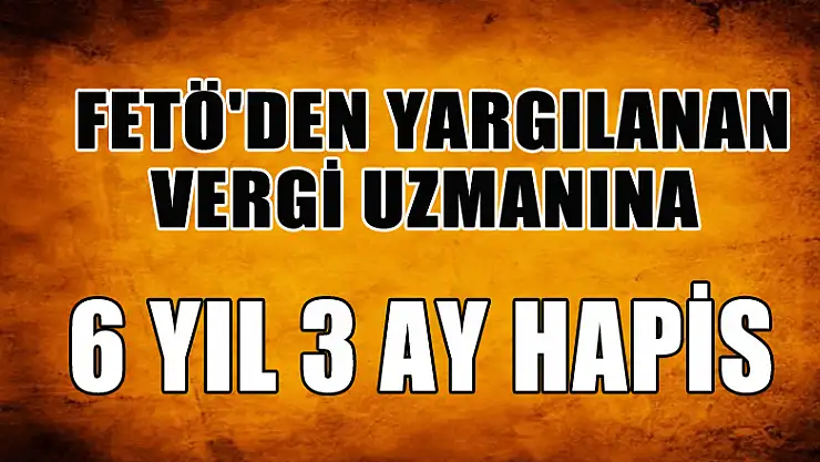  FETÖ'den yargılanan vergi uzmanına 6 yıl 3 ay hapis 