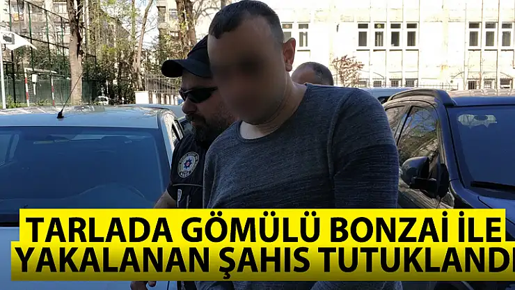 Tarlada gömülü bonzai ile yakalanan şahıs tutuklandı