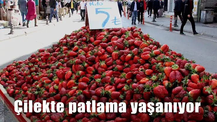 Çilekte patlama yaşanıyor