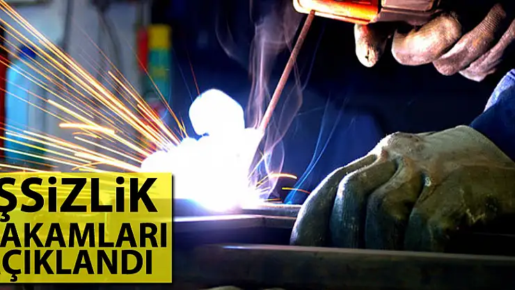 İşsizlik rakamları açıklandı