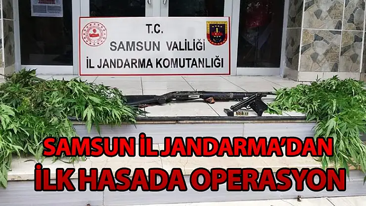 Samsun İl Jandarma'dan ilk hasada operasyon