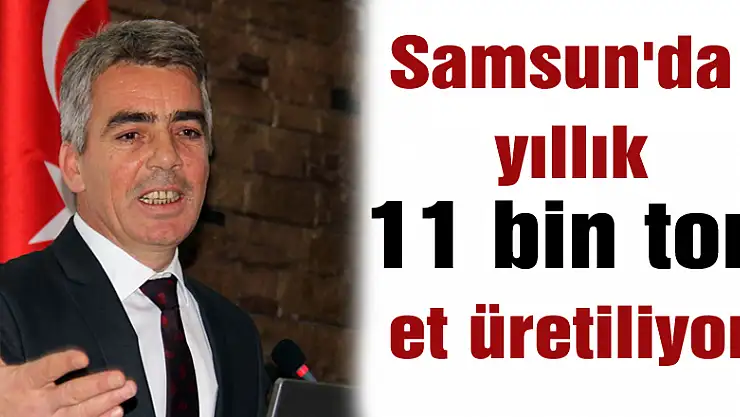 Samsun'da yıllık 11 bin ton et üretiliyor 