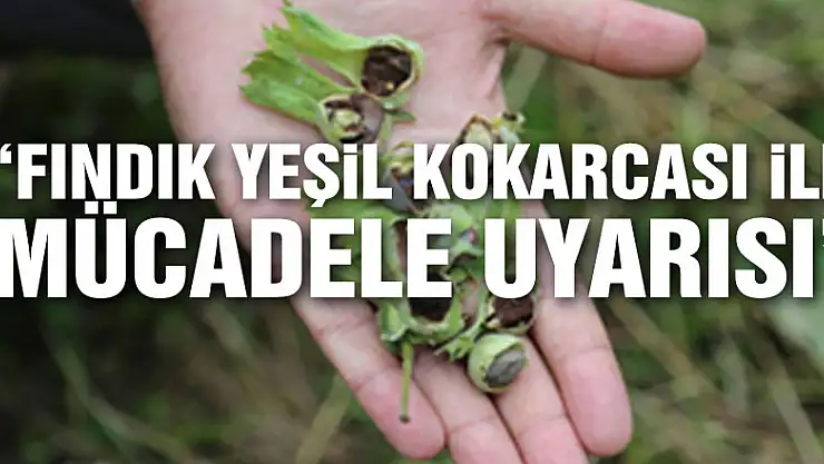 'FINDIK YEŞİL KOKARCASI İLE MÜCADELE UYARISI'