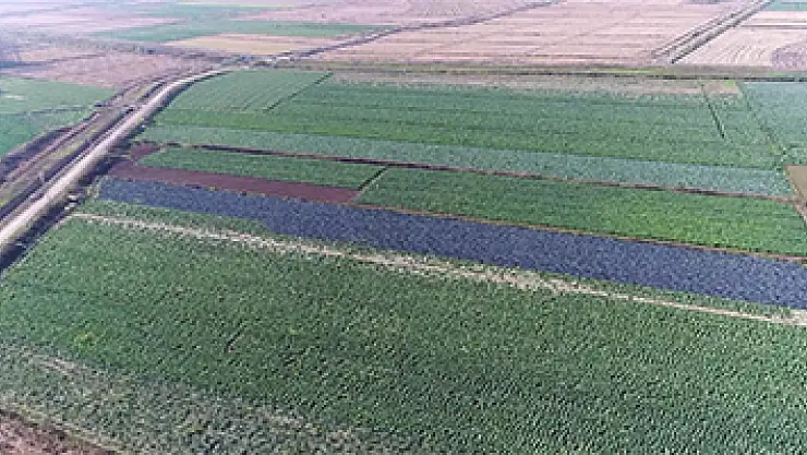 Kırsaldan kente göçü önlemek için üreticiye destek