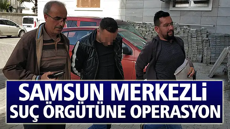 Samsun merkezli suç örgütüne operasyon: 16 gözaltı