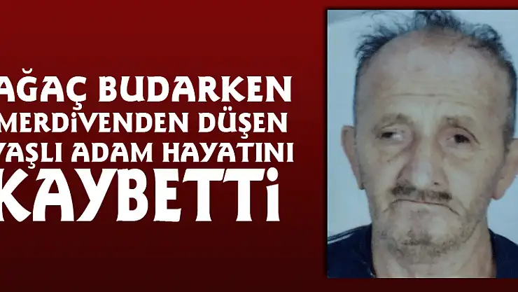 Ağaç budarken merdivenden düşen yaşlı adam hayatını kaybetti