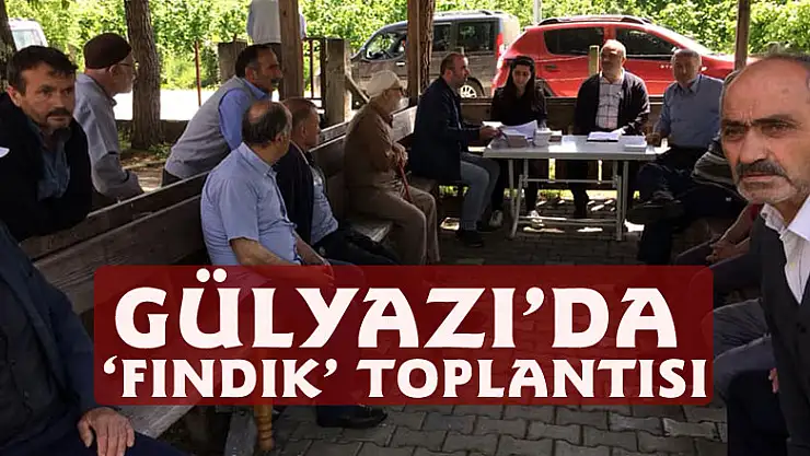 Gülyazı'da 'Fındık' toplantısı