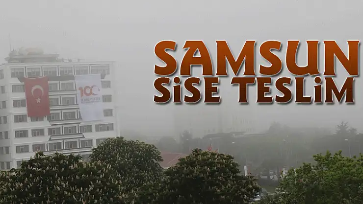 Samsun sise teslim