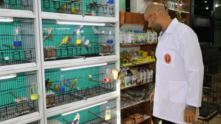Ev ve süs hayvanı satış yerleri denetleniyor
