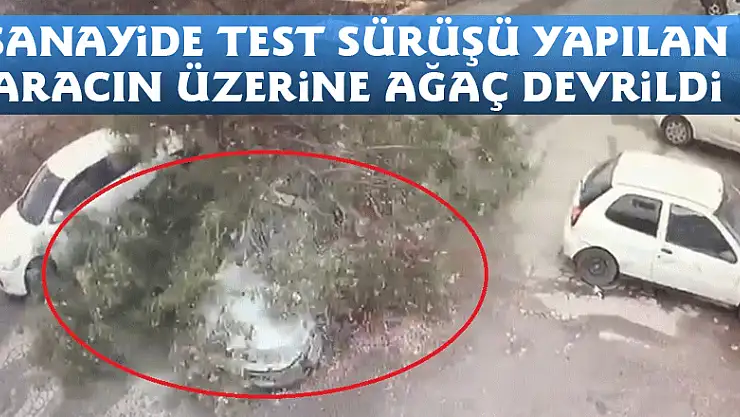 Sanayide test sürüşü yapılan aracın üzerine ağaç devrildi