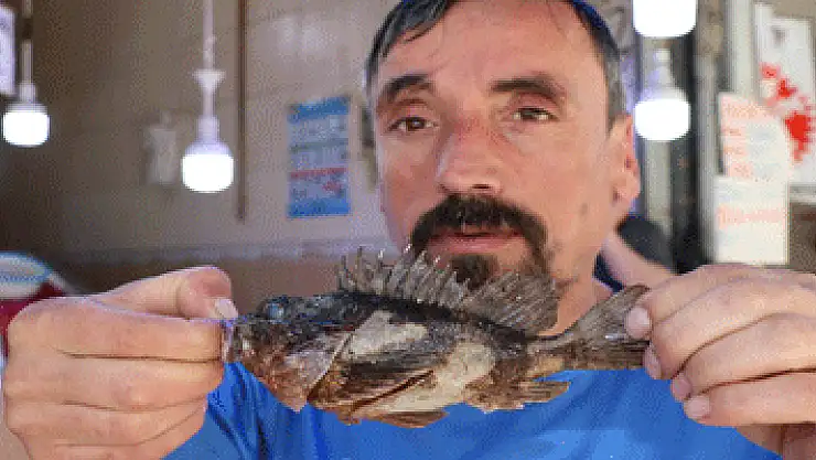 Görüntüsüne bakan kaçıyor, tadan bırakamıyor