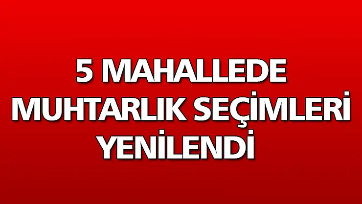 5 mahallede muhtarlık seçimleri yenilendi 