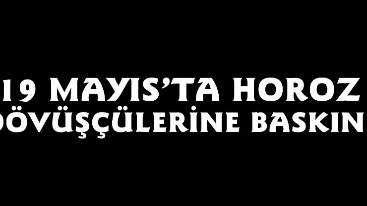 19 Mayıs'ta horoz dövüşçülerine baskın