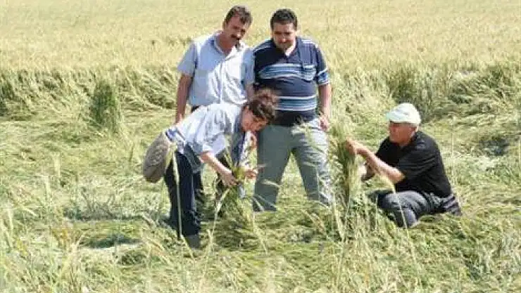 Vezirköprü'de hasar tespiti yapılıyor