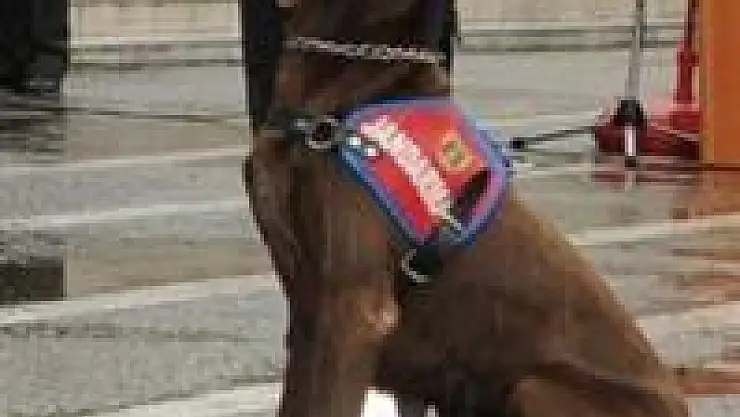 Vida, 86 kilo uyuşturucu buldu