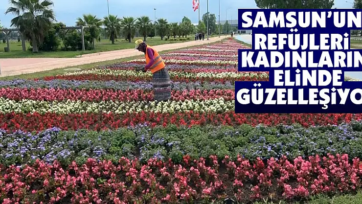 Samsun'un refüjleri kadınların elinde güzelleşiyor