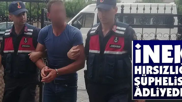 İnek hırsızlığı şüphelisi adliyede